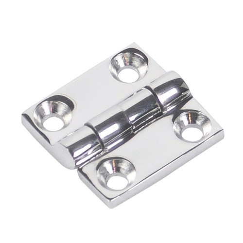 Stainless Steel Hinges